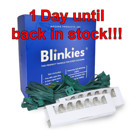 1372 Blinkies Outdoor Lights