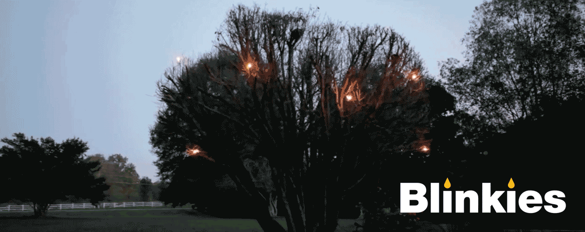 Blinky lights outlet